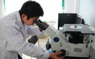 年度质量工作总结7篇