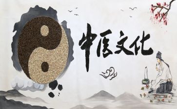 中医医生年度工作总结6篇