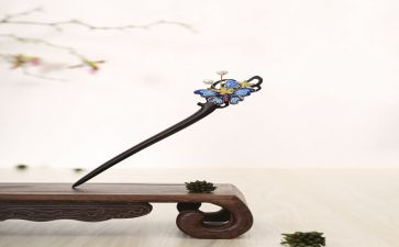 簪子感悟与心得体会精选6篇