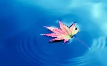 欣赏自然作文800字5篇