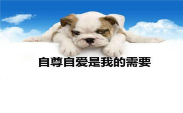 自尊的事迹8篇