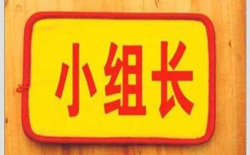 晋聘组长演讲稿优质5篇