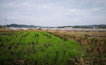 机械设备租赁合同模板5篇